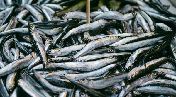 Hoe kun je gezonde kooktechnieken leren die je dieet ondersteunen?